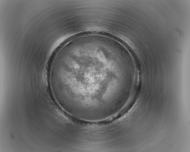 X0000113591022200909181327