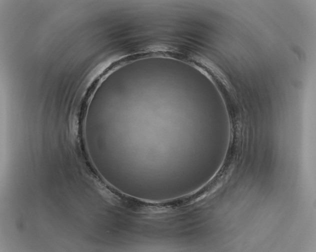 X0000113591023200909181327