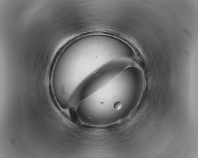 X0000113591024200909181327