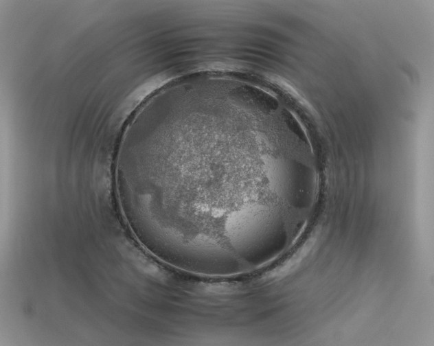 X0000113591025200909181327