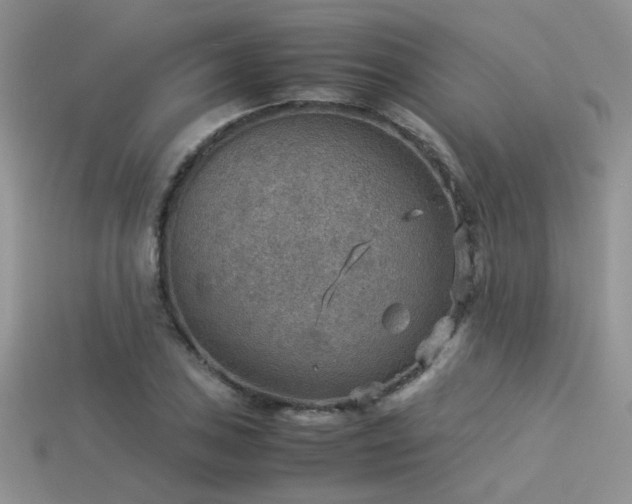 X0000113591027200909181327