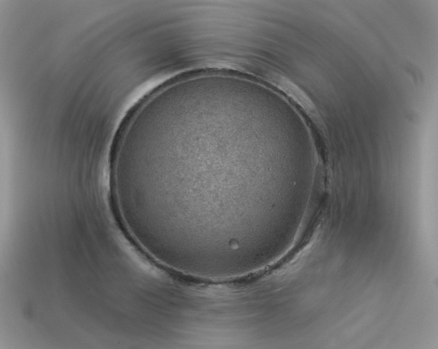 X0000113591028200909181327