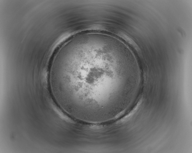 X0000113591029200909181327