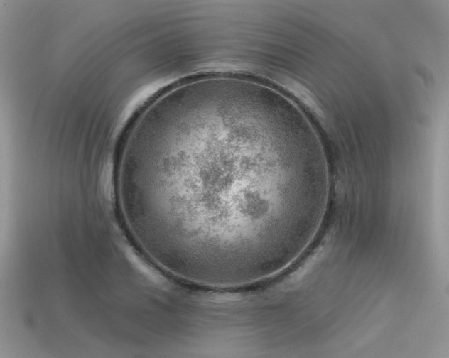 X0000113591030200909181327