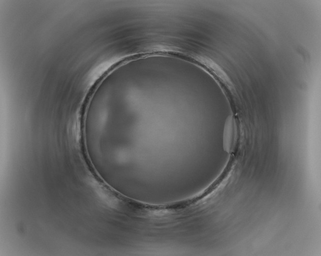 X0000113591031200909181327