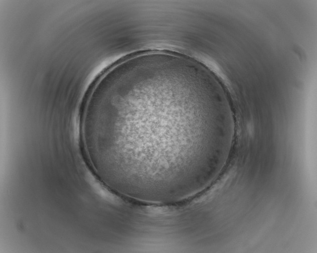 X0000113591032200909181327