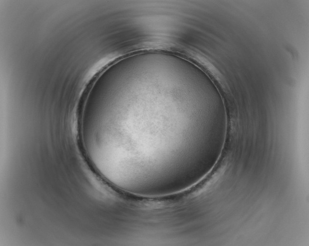 X0000113591034200909181327