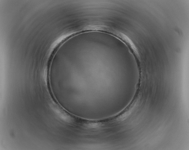 X0000113591035200909181327