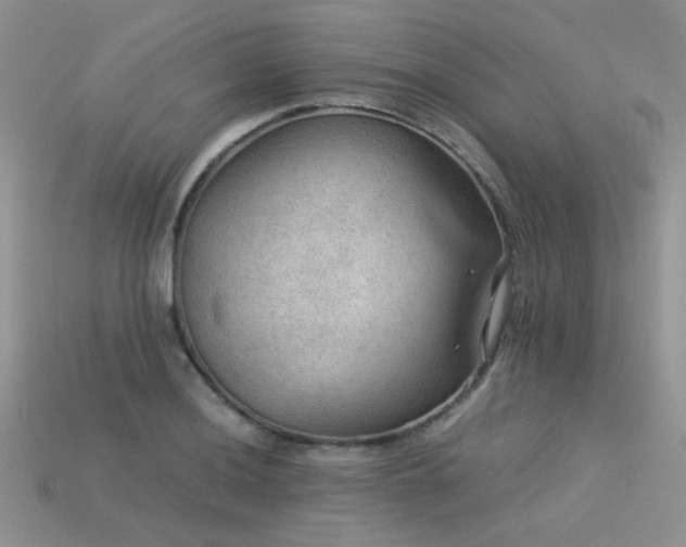 X0000113591036200909181327