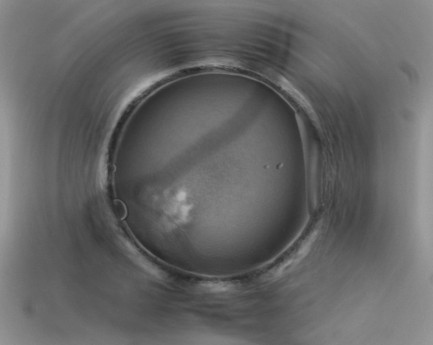 X0000113591037200909181327