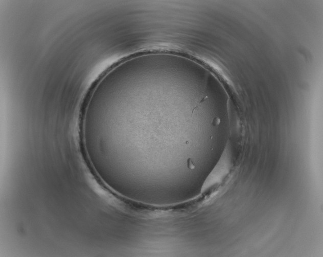 X0000113591038200909181327