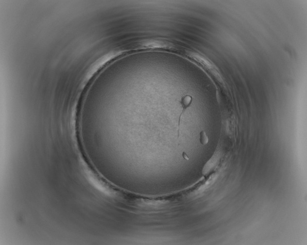 X0000113591039200909181327