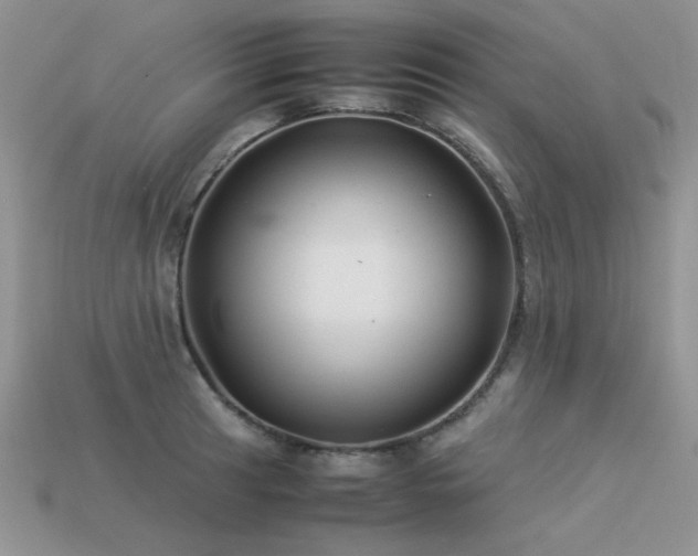 X0000113591041200909181327