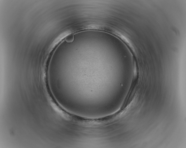 X0000113591042200909181327