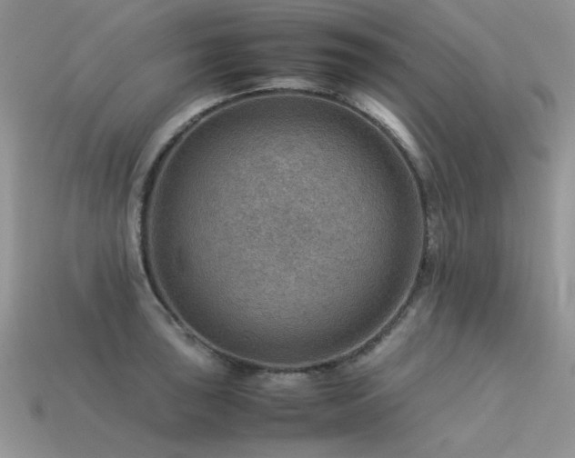 X0000113591043200909181327