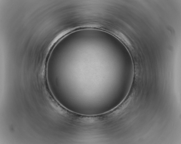 X0000113591044200909181327