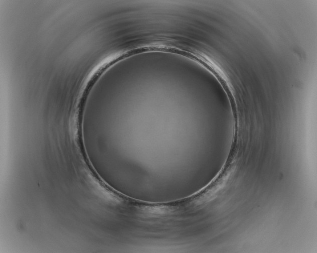 X0000113591045200909181327