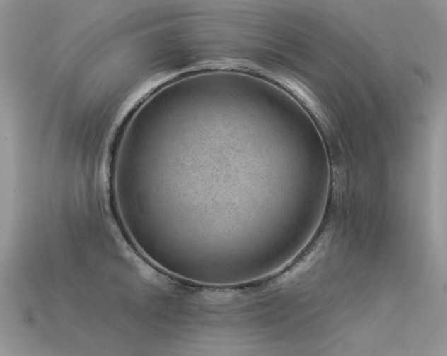 X0000113591046200909181327