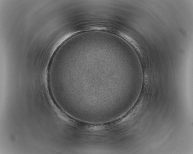 X0000113591047200909181327