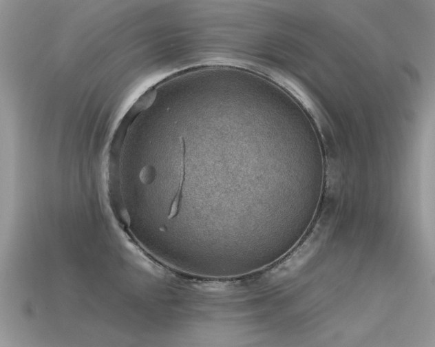 X0000113591048200909181327