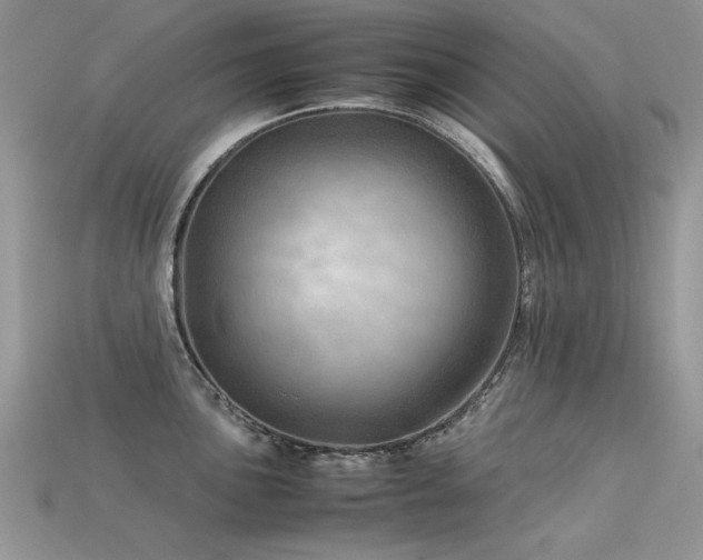 X0000113591051200909181327