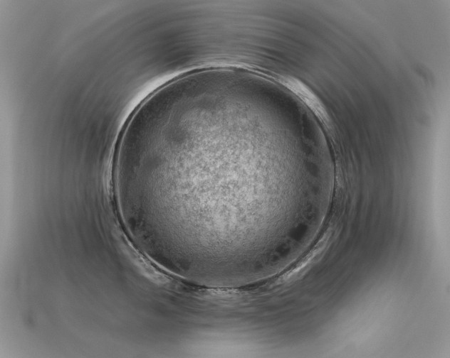 X0000113591052200909181328