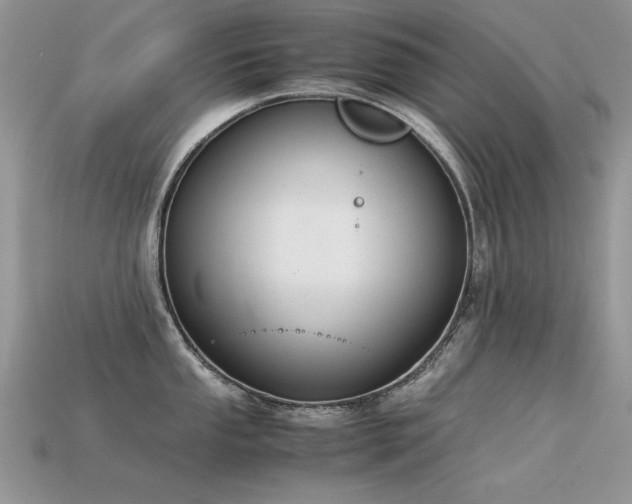 X0000113591053200909181328