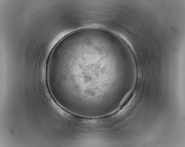 X0000113591054200909181328