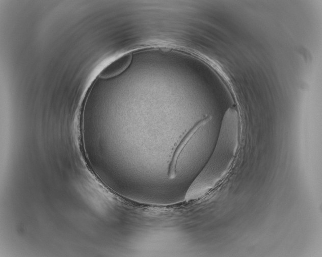 X0000113591056200909181328