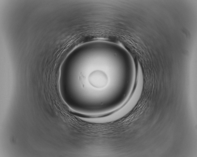 X0000113591057200909181327