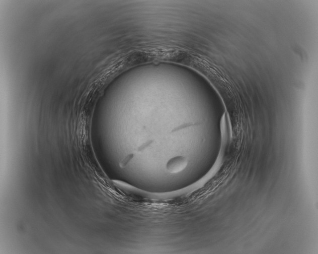 X0000113591058200909181327