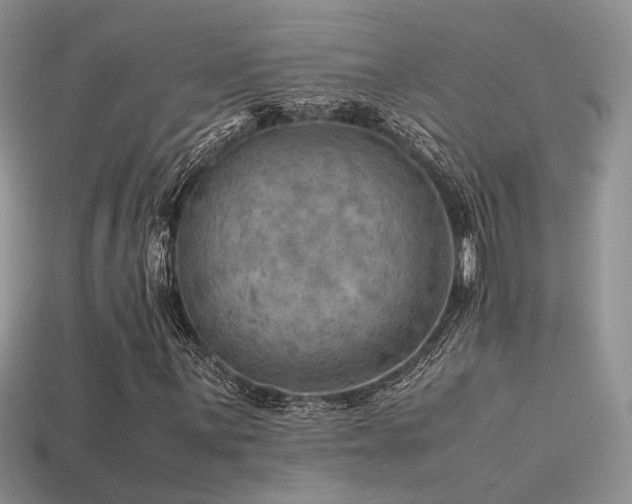 X0000113591059200909181327