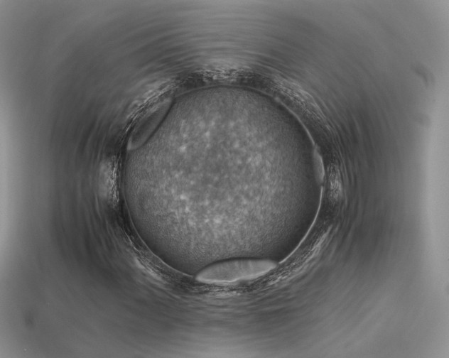 X0000113591060200909181327