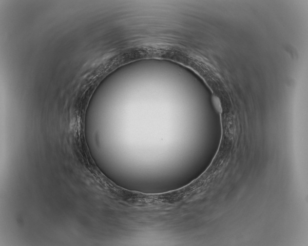 X0000113591061200909181327