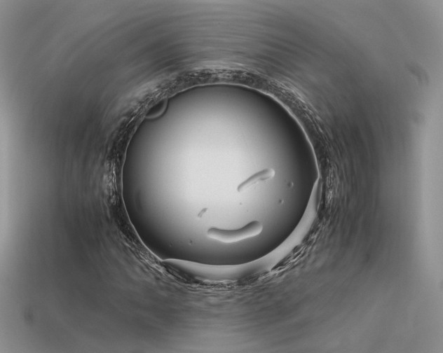 X0000113591062200909181327