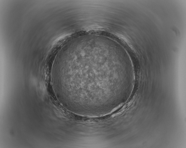 X0000113591063200909181327