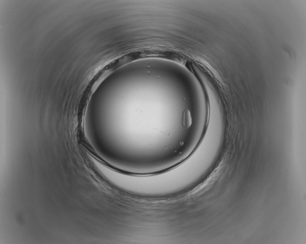 X0000113591065200909181327