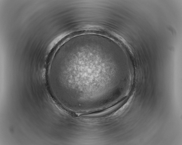 X0000113591066200909181327