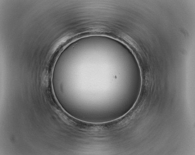 X0000113591067200909181327