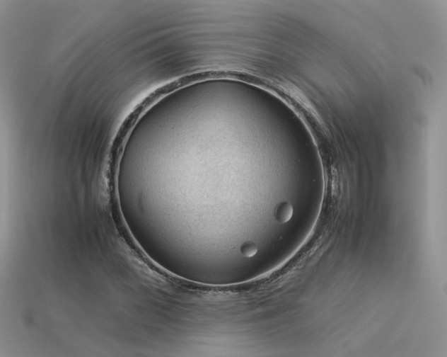 X0000113591068200909181327