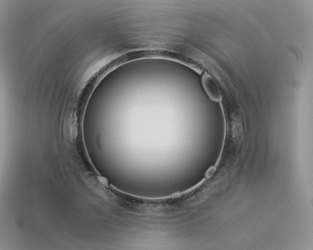 X0000113591069200909181327