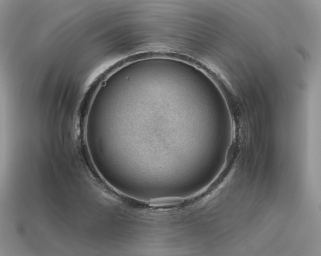 X0000113591070200909181327