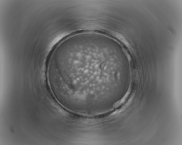 X0000113591071200909181327