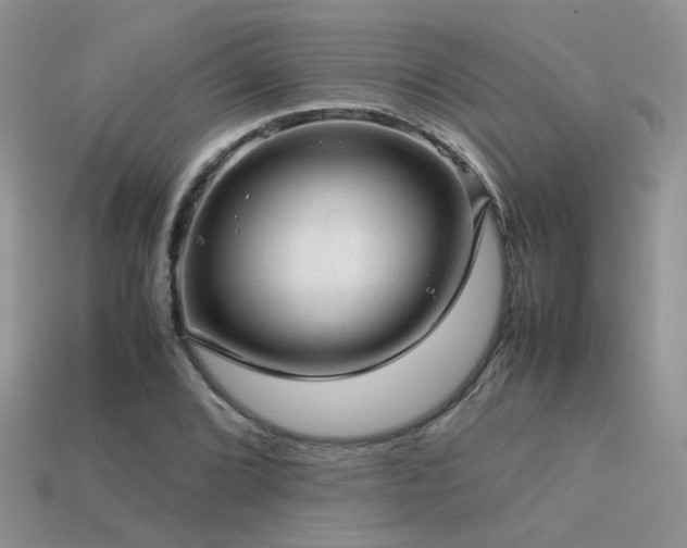 X0000113591072200909181327