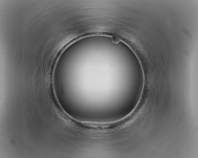 X0000113591073200909181327