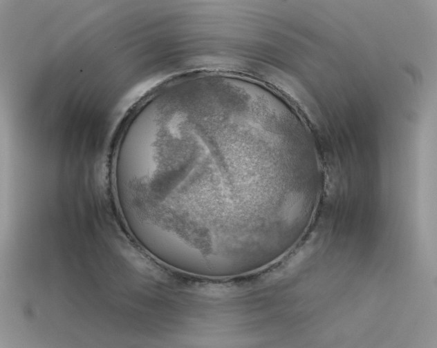 X0000113591074200909181327