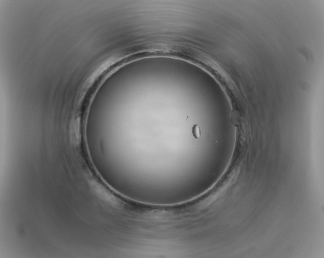 X0000113591075200909181327