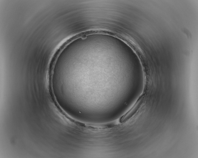 X0000113591076200909181327