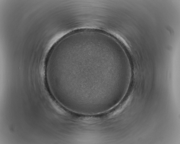 X0000113591077200909181327