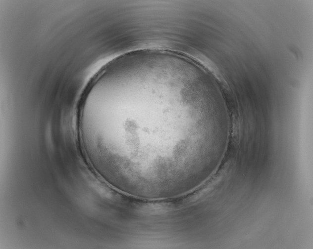 X0000113591078200909181327